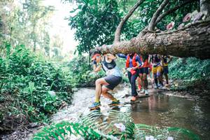 BIB: 
                            <button type="button" onclick="openModal(25456620)" class="btn btn-primary btn-sm float-right btn-popup" data-toggle="modal" data-target=".modal-high-quality">
                        <i class="fas fa-shopping-cart"></i> Add to Cart
                    </button>
                                            <button type="button" onclick="isThisMe(25456620, true)" class="btn btn-success btn-sm float-right btn-popup btn-isme hidden" data-toggle="tooltip" data-placement="bottom" title="นี่คือรูปของคุณใช่ไหม คลิกที่นี่เพื่อเอาเข้าอัลบั้ม">
                        <i class="fas fa-plus"></i> Add to album
                    </button>
                    <button type="button" onclick="isThisMe(25456620, false)" class="btn btn-warning btn-sm float-right btn-popup btn-isnotme hidden">
                        <i class="fas fa-ban"></i> Remove from album
                    </button>